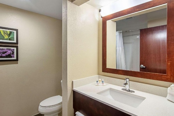 Comfort Suites Airport Alcoa image 11