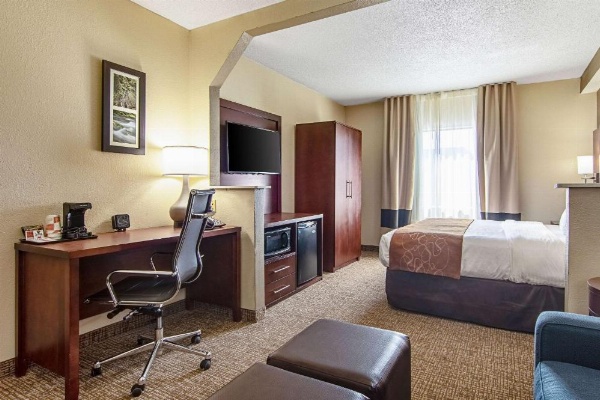 Comfort Suites Airport Alcoa image 14