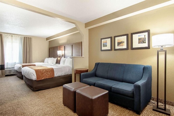 Comfort Suites Airport Alcoa image 24