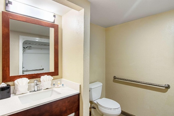 Comfort Suites Airport Alcoa image 7